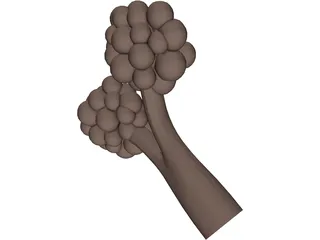 Alveoli 3D Model