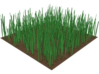 Grass 3D Model