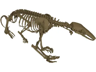 Anteater Skeleton 3D Model