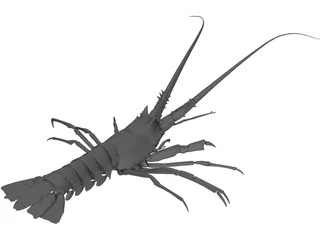 Lobster 3D Model