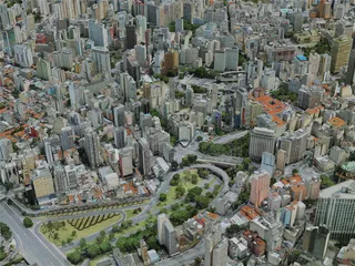 Sao Paulo City, Brazil (2022) 3D Model