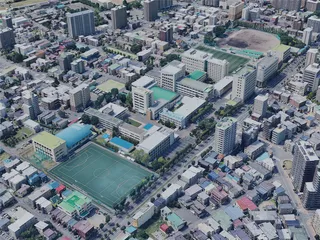 Sapporo City, Japan (2022) 3D Model