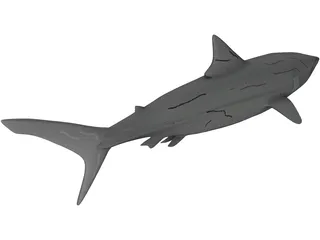 Great White Shark 3D Model