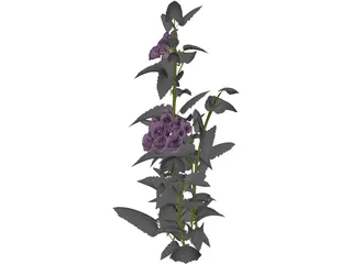 Plant 3D Model