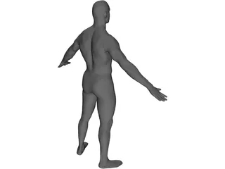 Man Body International 3D Model