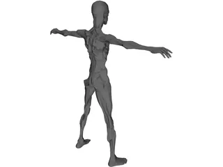 Zombie 3D Model