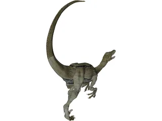 Raptor 3D Model