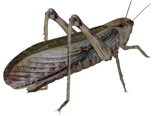 Grasshopper 3D Model