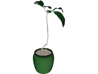 Plant 3D Model