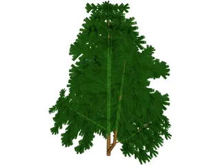 Juniper Bush 3D Model