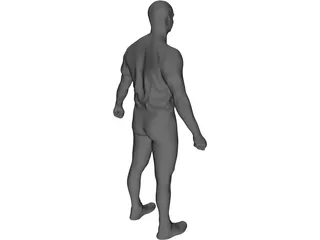 Human 3D Model