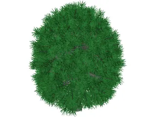 Tree 3D Model