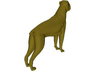 Dog Boxer 3D Model