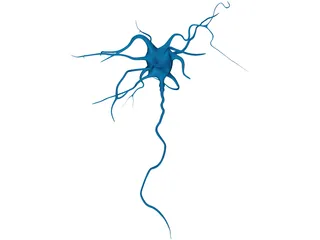 Neuron 3D Model