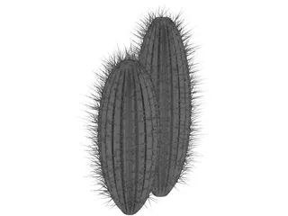 Cactus 3D Model