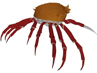 Crab (Maia Squinado) 3D Model