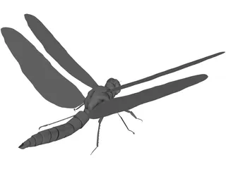 Dragon Fly 3D Model