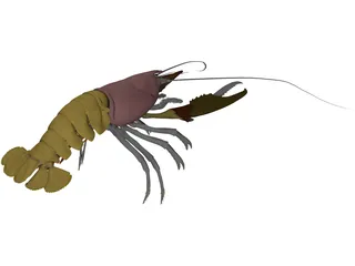 Lobster (Homarus Gammarus) 3D Model