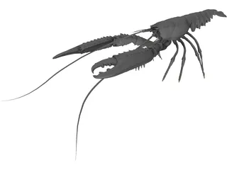 Lobster (Nephrops Norvegicus) 3D Model