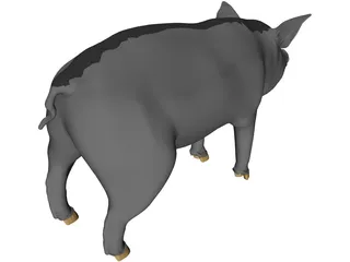 Pig 3D Model