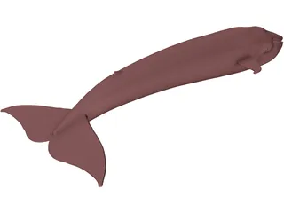 Whale Blue 3D Model