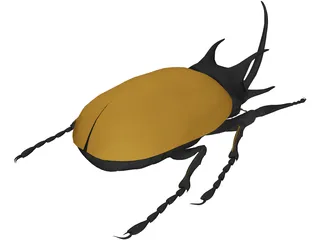 Eupatorus Gracilicornis 3D Model