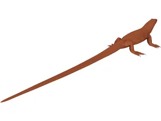 Lizard 3D Model