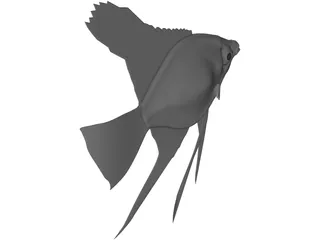 Pterophyum Scalare 3D Model