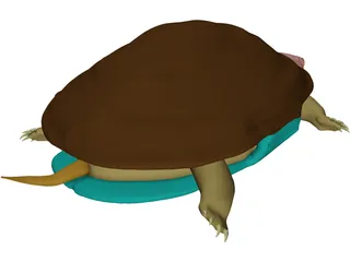 Turtle (Terrapene Ornata) 3D Model