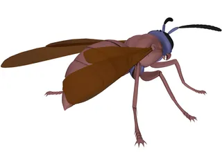 Wasp 3D Model