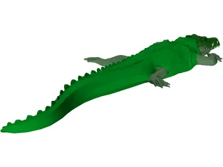 Crocodile 3D Model