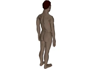 Man with Internal Organs 3D Model