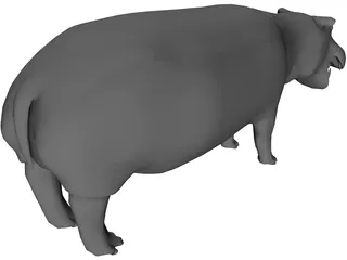 Hippopotamus 3D Model