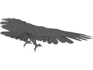 Eagle 3D Model