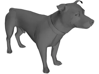 Dog 3D Model