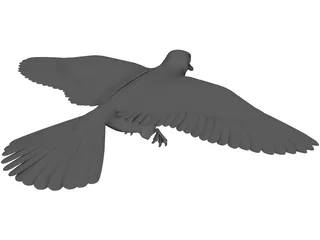 Dove 3D Model