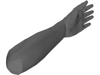 Hand Male 3D Model