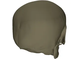 Skull Male 3D Model