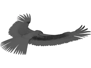 Eagle 3D Model