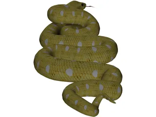 Python 3D Model