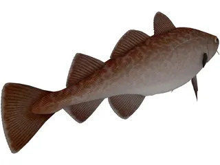 Pacific Cod 3D Model