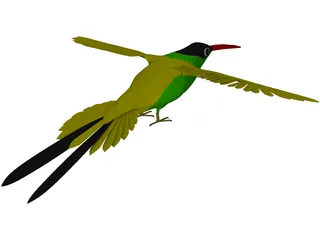 Hummingbird 3D Model