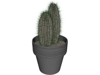 Cactus 3D Model