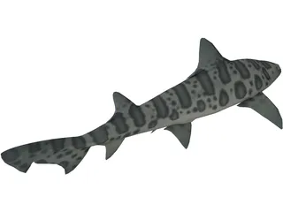 Leopard Shark 3D Model