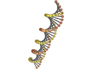 DNA Model 3D Model