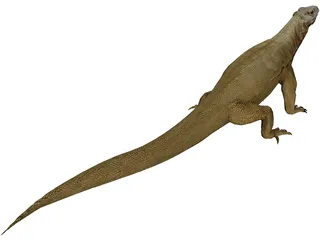 Komodo Dragon 3D Model