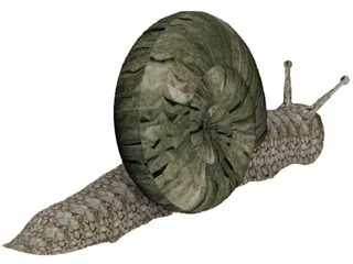 Snail 3D Model