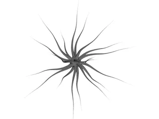 Neuron 3D Model