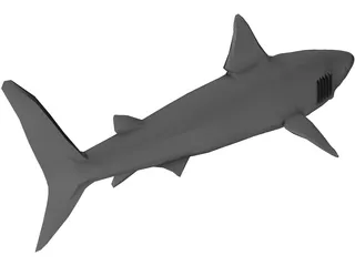 Shark Great White 3D Model