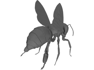 Bee 3D Model